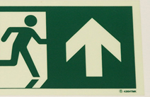 Domestic Fire Systems